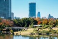 Hamarikyu Gardens and modern buildings at autumn in Tokyo, Japan Royalty Free Stock Photo