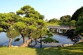 Hamarikyu Gardens in Tokyo, Japan Royalty Free Stock Photo