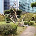 Hamarikyu Gardens