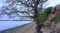 Hamble foreshore at Warsash