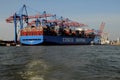 Hamburg cargo termnal in Germany Cosco shiping ship
