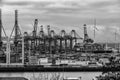 Hamburg container port in black and white