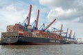 Container ships YM Witness and NYK Remus are lying in the container terminal Altenwerder of the