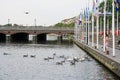 Kleine Alster in summer with swans and ducks swimming and feeding in lake