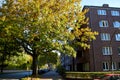 Hamburg, Germany - october 5, 2018: City streets of Germany. Residential buildings and house. Quiet calm streets of the city. Walk