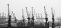 Hamburg harbor cranes in black and white