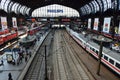 Hamburg Main Railway Station Royalty Free Stock Photo
