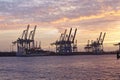 Hamburg - Port at sunset with container gantry cranes Royalty Free Stock Photo