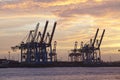 Hamburg - Port at sunset with container gantry cranes Royalty Free Stock Photo