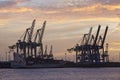 Hamburg - Port at sunset with container gantry cranes Royalty Free Stock Photo