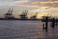 Hamburg - Port at sunset with container gantry cranes Royalty Free Stock Photo