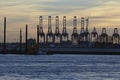 Hamburg - Port at sunset with container gantry cranes Royalty Free Stock Photo