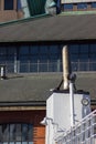 hamburg ship installations and docks details of chimney fumes
