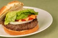 Hamburger with aioli Royalty Free Stock Photo