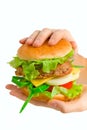 Hamburger being held in hands