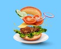 Hamburger on blue background