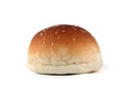 Hamburger bun / bread