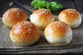 Hamburger buns Royalty Free Stock Photo