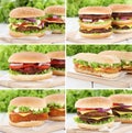 Hamburger collection set cheeseburger burger tomatoes cheese Royalty Free Stock Photo