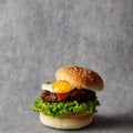 Hamburger with egg on top place on plate -Generative AI