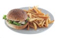 Hamburger and french fries Royalty Free Stock Photo