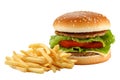 Hamburger and french fries Royalty Free Stock Photo