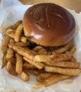 Hamburger and French Fry Blue-plate Special Royalty Free Stock Photo