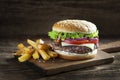 Hamburger with fried potatoes Royalty Free Stock Photo