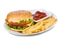 Hamburger with fries Royalty Free Stock Photo