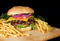 Hamburger & Fries Royalty Free Stock Photo