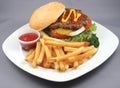 Hamburger and fries Royalty Free Stock Photo