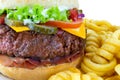 Hamburger with Fries Royalty Free Stock Photo