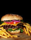 Hamburger and Fries Royalty Free Stock Photo