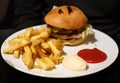 Hamburger, Fries, Ketchup and Mayo on a White Plate Royalty Free Stock Photo