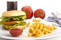 A hamburger with fries on a white plate Royalty Free Stock Photo