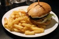 Hamburger and Fries on a White Plate Royalty Free Stock Photo