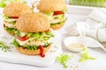 Hamburger with grilled chicken burger, fresh cucumber, tomato, cheese and lettuce Royalty Free Stock Photo