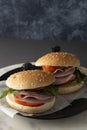 Hamburger with ham. Two burgers, hoemmade food. healthy sandwich with fresh vegetables Royalty Free Stock Photo