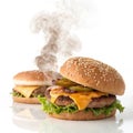 Hamburger, a hamburger and a half isolated on transparent background Royalty Free Stock Photo