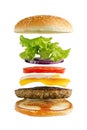 Hamburger ingredients