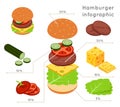 Hamburger ingredients flat isometric style vector infographics