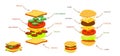 Hamburger ingredients with meat cheese tomato salad bun cucumber infographic.