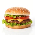 Hamburger isolated on white background Royalty Free Stock Photo