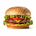 Hamburger Isolated On White - High-quality Uhd Image With Textural Surface Treatment