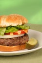 A hamburger with lettuce Royalty Free Stock Photo