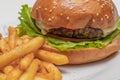 Hamburger with meat, tomato, lettuce and french fries.