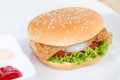 hamburger with meat on white dish Royalty Free Stock Photo