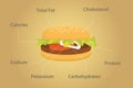 Hamburger nutrition fact details with flat style