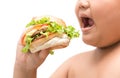Hamburger in obese fat boy hand Royalty Free Stock Photo