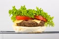 Hamburger open with salad and potato